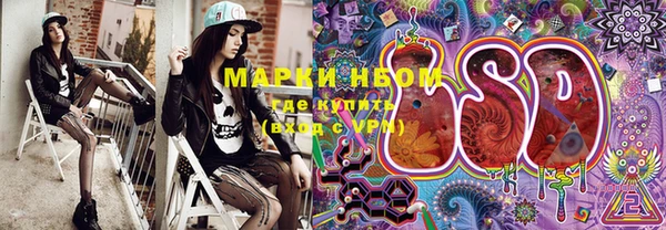 стаф Кодинск