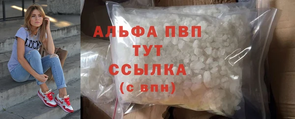 стаф Кодинск