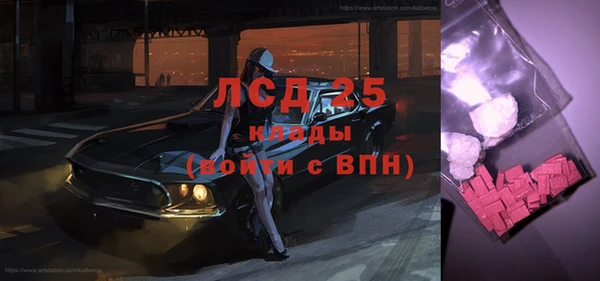 стаф Кодинск