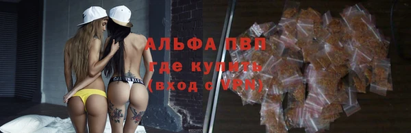 стаф Кодинск