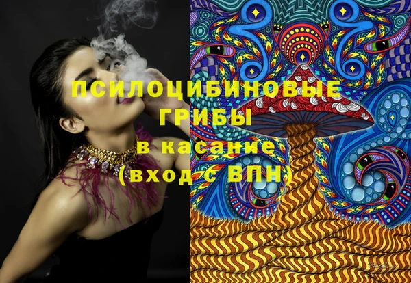таблы Козельск