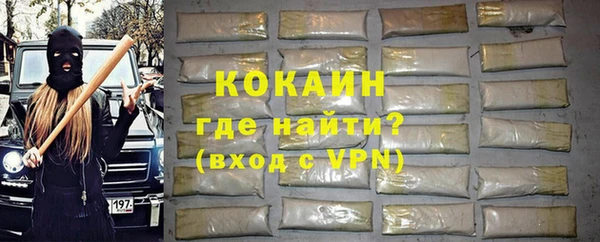 шишки Козловка