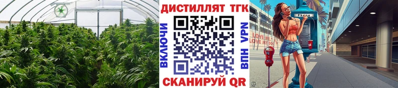купить наркоту  Можга  Дистиллят ТГК Wax 