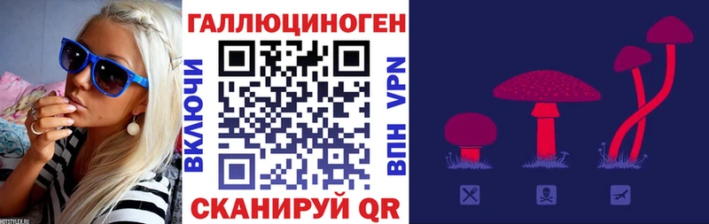 Галлюциногенные грибы Cubensis  что такое наркотик  Можга 