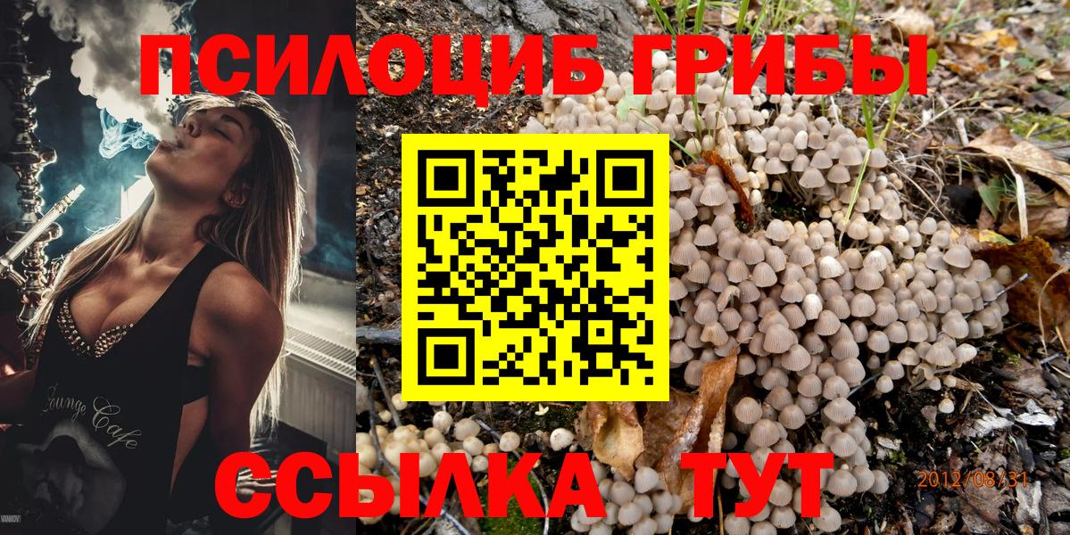 Псилоцибиновые грибы мухоморы  Вход с VPN  Можга 