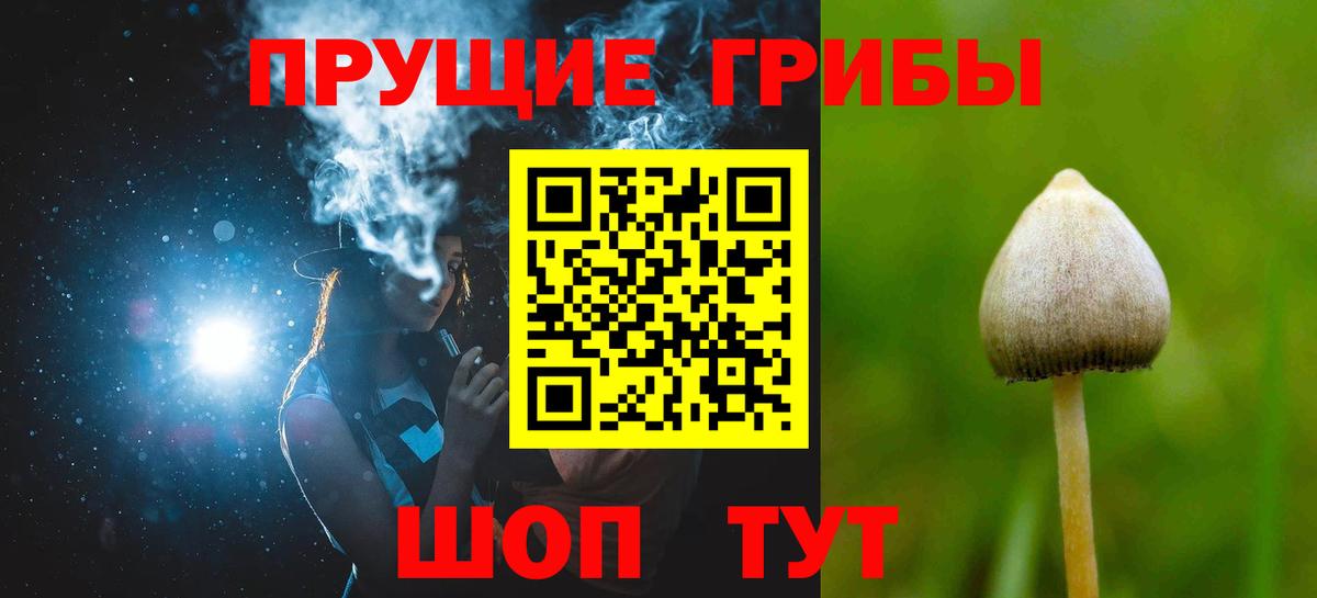 Галлюциногенные грибы Psilocybe Можга