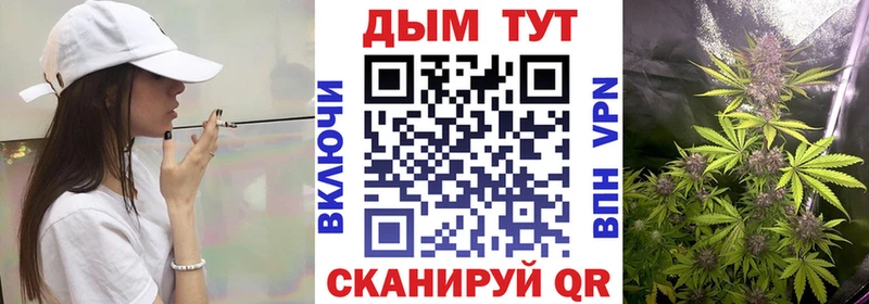 Бошки марихуана гибрид  Можга 